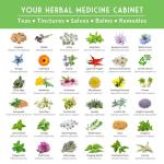 Ultimate Medicinal Herb Seeds Variety Pack – 36 Heirloom Non-GMO Healing Herbs for Planting | Wellness & Apothecary Garden Kit for Herbalists, Homesteaders – Survival Garden Seeds (28,000+)
