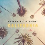 Roamwell Essential Travel Medicine Kit, OTC Travel Medication, TSA Approved (Business | 18 Tablets)