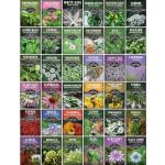 Ultimate Medicinal Herb Seeds Variety Pack – 36 Heirloom Non-GMO Healing Herbs for Planting | Wellness & Apothecary Garden Kit for Herbalists, Homesteaders – Survival Garden Seeds (28,000+)
