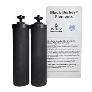 Berkey Authentic Black Berkey Purification Elements - Berkey Water Purifier Replacement Filters (Pack of 2)