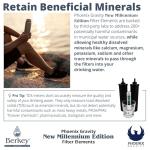 Berkey - Phoenix Gravity New Millennium Edition Water Filter Elements (Set of 2) - NMCL Endorsed Replacement in Lieu of Black Berkey Elements BB9-2