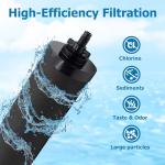 Larayci Water Filter Replacement for Berkey® BB9-2 Black Activated Carbon Filters, Compatible with Berkey® Gravity Water Filter System, Pack of 4