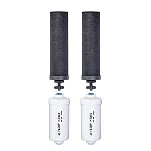 Set of 2 Berkey Authentic Black Berkey Elements (BB9-2) and 2 PF-2 Fluoride Reduction Elements - Combo Pack