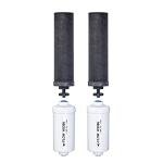 Set of 2 Berkey Authentic Black Berkey Elements (BB9-2) and 2 PF-2 Fluoride Reduction Elements - Combo Pack