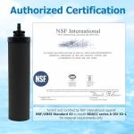 Larayci Water Filter Replacement for Berkey® BB9-2 Black Activated Carbon Filters, Compatible with Berkey® Gravity Water Filter System, Pack of 2