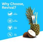 Revival Rapid Rehydration Electrolytes Powder - High Strength Vitamin C, B1, B3, B5, B12 Supplement Sachet Drink, Effervescent Electrolyte Hydration Tablets - 12 Pack Assorted Flavours