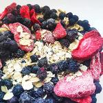 Freeze Dried Strawberry Slices | Raw Natural Premium Freeze Dried Fruit | Freeze Dried Strawberries | Snacking Freeze-Dried Strawberries | Berries from Fresh Frozen Freeze Dry Strawberrys | ZingyZoo