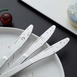 Pleafind Dinner Knives, 24 Piece Dinner Knife Set, Kitchen Knives (8.1 Inch, 20.5cm), Stainless Steel Cutlery Knife, Table Knives for Home, Hotel and Restaurant, Dishwasher Safe