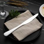 Amazon Basics Stainless Steel Dinner Knives With Round Edge, Pack of 12, Silver