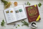 Natural Healing Handbook: Simple Herbal Remedies and Recipes for Every Health Conditions (Natural and Herbal Remedies)