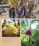 Mulberries in the Rain: Growing Permaculture Plants for Food and Friendship