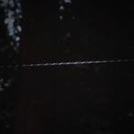 550 Paracord with Carabiner, 30 ft Camo