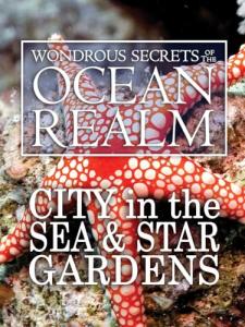 Ocean Realm Adventure: City in the Sea & Star Gardens