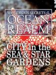 Ocean Realm Adventure: City in the Sea & Star Gardens