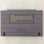 The Lion King for Classic Consoles