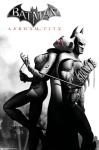Catwoman Arkham City Wall Poster - 22"x34