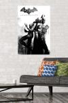 Catwoman Arkham City Wall Poster - 22"x34