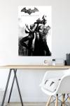 Catwoman Arkham City Wall Poster - 22"x34