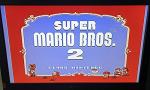 Super Mario Bros. 2 for Retro Consoles