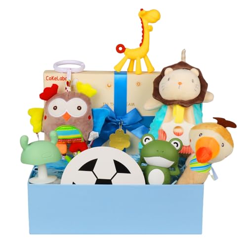 Cokelaba Lion Baby Gift Basket for Infants