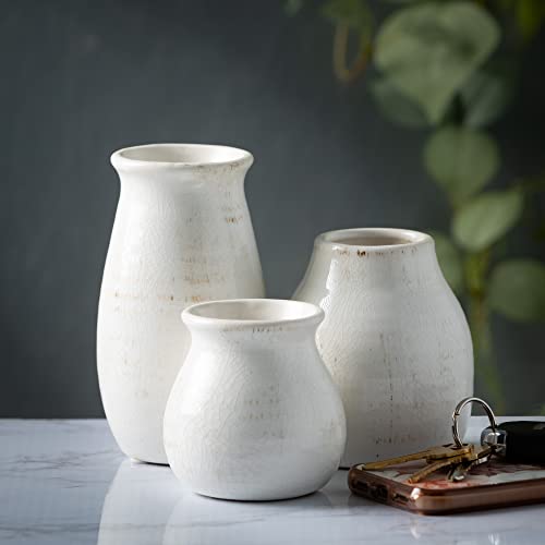 Sullivans Farmhouse Bud Vases for Home Decor