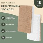 Eco-Friendly Plant-Based Kitchen Sponges - 12 Count