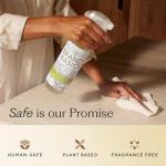 Branch Basics Eco-Friendly Cleaning Essentials Kit