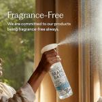 Branch Basics Eco-Friendly Cleaning Essentials Kit