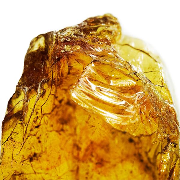 Cool Water By Davidoff For Men. Eau De Toilette Spray 4.2 Fl Oz (Pack of 1)