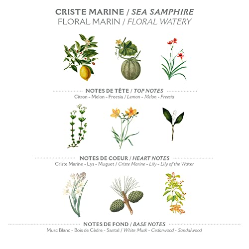 Panier des Sens Sea Samphire Perfume - 1.7Floz/50ml