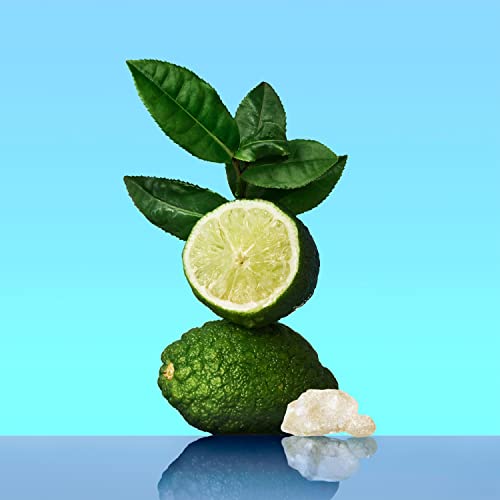 Calvin Klein Ck One - Green Tea, Rose, Amber