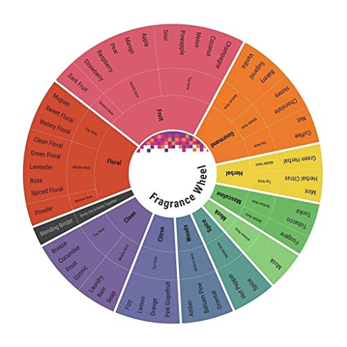 Dolce & Gabbana Intense Men's Eau De Parfum