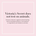 Victoria's Secret Velvet Petals Mini Mist & Lotion Set