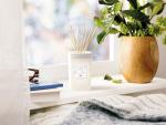 CLEAN SPACE Reed Diffuser | Natural Rattan Reeds | 100% Vegan Oil