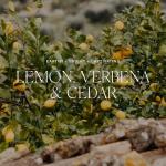 Antica Verbena & Cedar Home Diffuser - 3.4oz