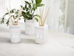 CLEAN SPACE Reed Diffuser | Natural Rattan Reeds | 100% Vegan Oil