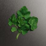 Calvin Klein Eternity Men's Deodorant, 2.6 oz