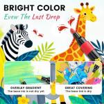 144 Acrylic Paint Markers in 12 Colors