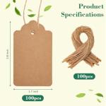 100pcs Brown Kraft Gift Tags with String
