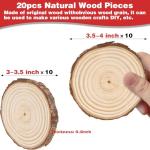 DIY Christmas Ornament Craft Kit - 20 Wood Slices