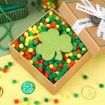 St. Patrick's Day Mini Pom Poms - 1000 Pack
