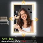 Dimmable LED Bathroom Mirror with Anti-Fog 20x28
