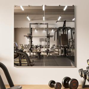 TETOTE 48" Full Body Wall Mounted Gym Mirror