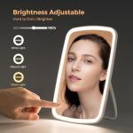 Lighted Portable Makeup Mirror with Adjustable Brightness