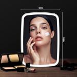 Lighted Portable Makeup Mirror with Adjustable Brightness