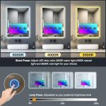 Smart Vanity Mirror with Touchscreen TV and LED Lights