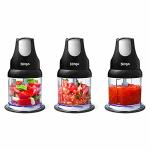 Ninja Express Chop Food Processor