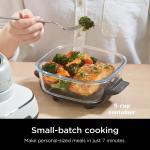 Ninja Crispi 3-in-1 Compact Air Fryer System