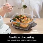 Ninja Crispi 3-in-1 Air Fryer Cooking System