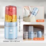 Portable Smoothie Blender and Snow Cone Maker